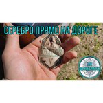 Металлоискатель Minelab Equinox 600