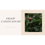 Фотоаппарат Canon EOS RP Kit