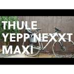Заднее велокресло THULE Yepp Nexxt Maxi