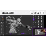 Стилус WACOM Pro Pen 3D с футляром