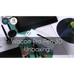 Стилус WACOM Pro Pen 3D с футляром