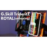 Оперативная память G.SKILL F4-3600C17D-16GTRG