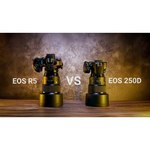 Фотоаппарат Canon EOS 250D Kit