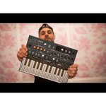 Синтезатор Arturia MicroFreak