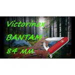 Нож многофункциональный VICTORINOX Bantam (8 функций)