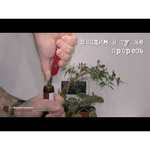 Нож многофункциональный VICTORINOX Bantam (8 функций)