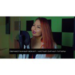 Микрофон AKG P120