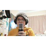 Микрофон AKG P120