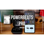 Наушники Beats Powerbeats Pro