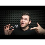 Микрофон Trust Starzz