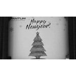 Принтер Pantum P2500NW