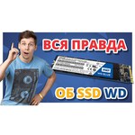 Твердотельный накопитель Western Digital WD BLUE SN500 250 GB (WDS250G1B0C)