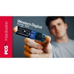 Твердотельный накопитель Western Digital WD BLUE SN500 250 GB (WDS250G1B0C)