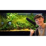 Тумба для аквариума Juwel Rio 240 SBX (ШхВхГ) 121х73х41 см