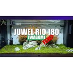 Тумба для аквариума Juwel Rio 240 SBX (ШхВхГ) 121х73х41 см