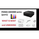 Принтер Canon PIXMA GM2040