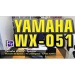 Умная колонка YAMAHA WX-051