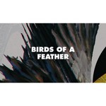 Сноуборд CAPiTA Birds of a Feather (19-20)