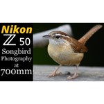 Фотоаппарат Nikon Z 50 Body