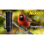 Фотоаппарат Nikon Z 50 Kit