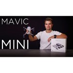 Квадрокоптер DJI Mavic Mini Fly More Combo