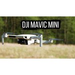 Квадрокоптер DJI Mavic Mini Fly More Combo