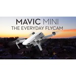 Квадрокоптер DJI Mavic Mini Fly More Combo