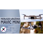 Квадрокоптер DJI Mavic Mini Fly More Combo