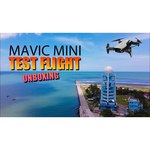 Квадрокоптер DJI Mavic Mini