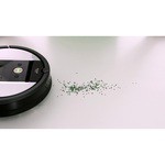 Робот-пылесос iRobot Roomba S9+