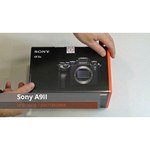 Фотоаппарат Sony Alpha ILCE-9M2 Body