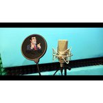 Микрофон Neumann TLM 103 mono set