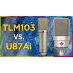Микрофон Neumann TLM 103 mono set