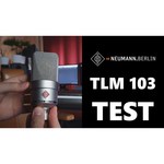 Микрофон Neumann TLM 103 mono set
