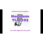 Микрофон Neumann TLM 103 mono set