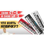 Синтезатор CASIO CT-S300