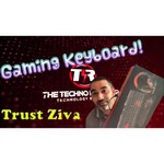 Клавиатура Trust Ziva Multimedia Keyboard