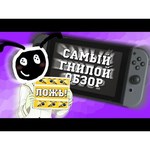 Игровая приставка Nintendo Switch Зенит