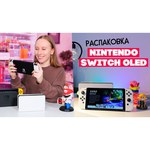 Игровая приставка Nintendo Switch Зенит