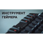 Клавиатура COUGAR 700K Evo Black USB