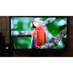 Монитор Philips 327E8QJAB 31.5" обзоры