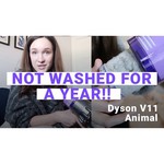 Пылесос Dyson V11 Animal+