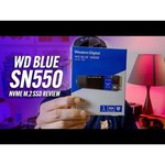 Твердотельный накопитель Western Digital WD Blue SN550 1 TB (WDS100T2B0C)
