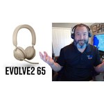 Компьютерная гарнитура Jabra Evolve2 65 Link380c MS Stereo