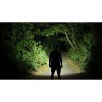 Налобный фонарь Fenix HM23