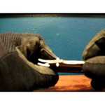 Мультитул GANZO G104S (11 функций) с чехлом