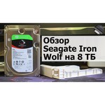 Жесткий диск Seagate IronWolf 10 TB ST10000VN0008