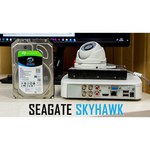 Жесткий диск Seagate 12 TB ST12000VE0008