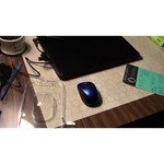 Logitech Wireless Mouse M325 Black-Light Silver USB