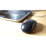 Microsoft Basic Optical Mouse Black USB
